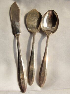 Vintage Community Plate Flatware, Jelly Spoon, Master Butter Spreader   V424